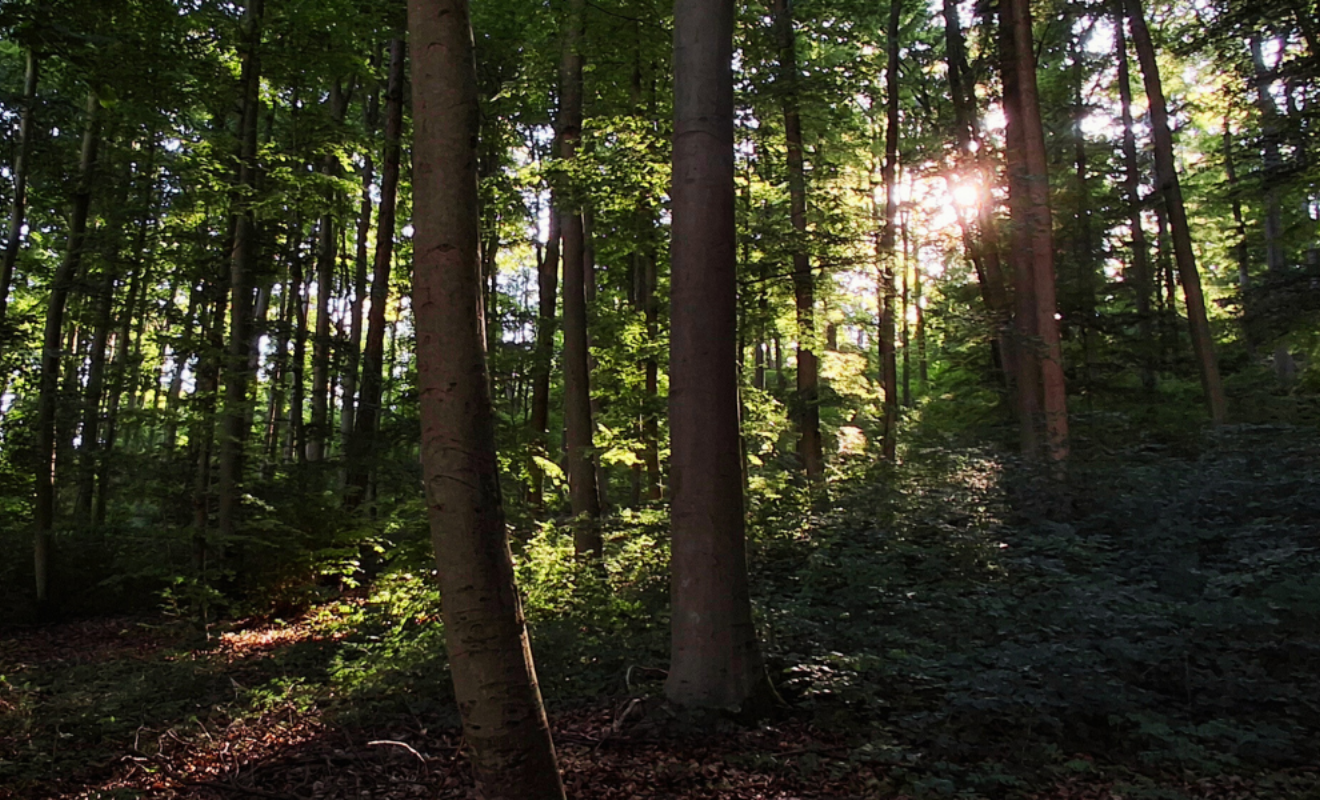 Klein Lengden und Gleichen