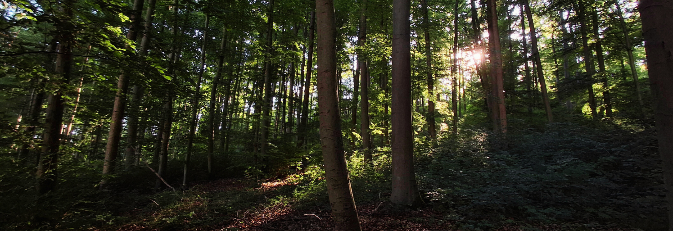 Klein Lengden und Gleichen